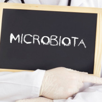 The Language of Microbial Culture: Explaining Prebiotics, Probiotics, Synbiotics and Postbiotics
