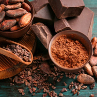 The Definitive Guide to Chocolate