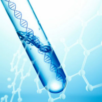 CRISPR: What Does Gene Editing Mean for the Future of Primal Living?