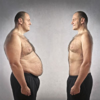 The Genetics of Obesity: Are You Destined to Be Fat?