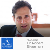 Dr. Robert Silverman: Understanding The Covid-19 Immune Response, And The Importance of the Gut-Brain Connection