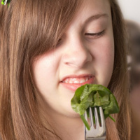  Can You Retrain Your Taste?