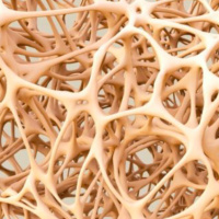 Need to Know Factors for Bone Health