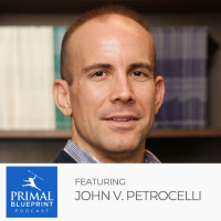 John V. Petrocelli
