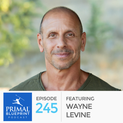 Primal Blueprint Podcast