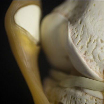 Primal Blueprint Podcast