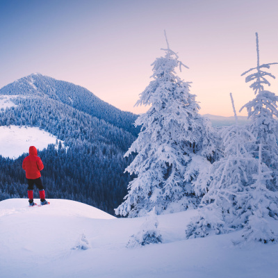 Primal Blueprint Podcast