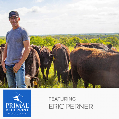 Primal Blueprint Podcast