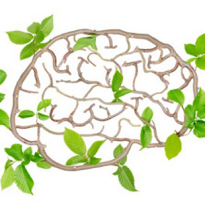 Primal Blueprint Podcast