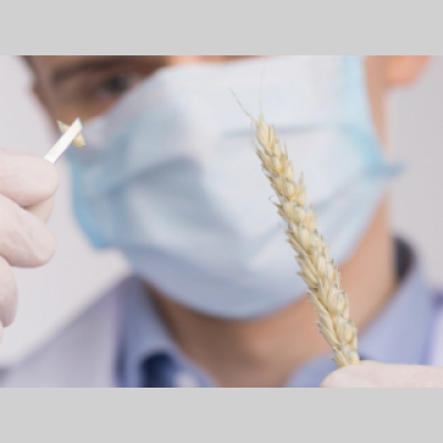 Primal Blueprint Podcast