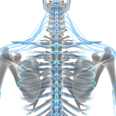 Primal Blueprint Podcast