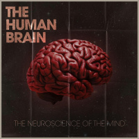 The Human Brain: Leading Experts On Preventing Cognitive Decline, Understanding Addiction, The Neurochemistry of Spirituality  The Mind-Body Connection