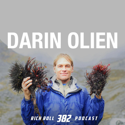 The Rich Roll Podcast