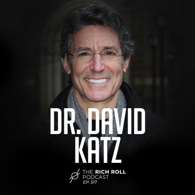 The Rich Roll Podcast