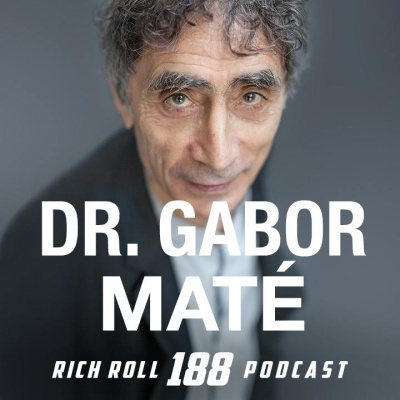 The Rich Roll Podcast