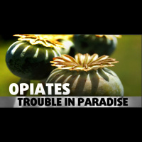 The Ongoing Opiate Crisis