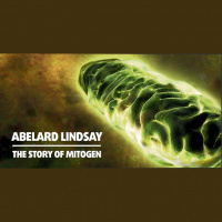 Abelard Lindsay and the Story of Mitogen