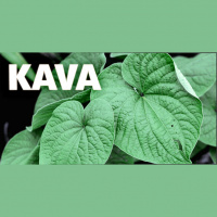 Kava: from Ceremonial Drink to Modern Mood-Booster