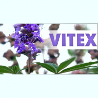 Vitex with Matt Legge