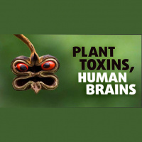 Plant Toxins and the Neurons Who Love Them