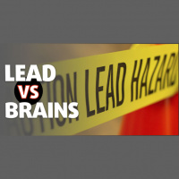 Lead Toxicity with Dr. David Bellinger
