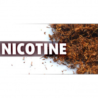 Nicotine: Pure Evil or Brain Fuel?