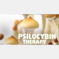 Psilocybin and the Potential for “Psychedelic Therapies”