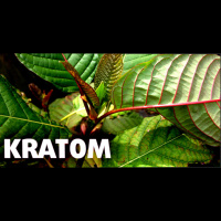Much Ado About Kratom