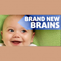 Building Better Baby Brains