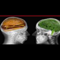 338: Wired To Eat: How To Turn Off Food Cravings And Rewire Your Appetite for Weight Loss with Robb Wolf