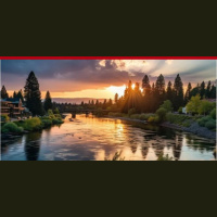 595: Beyond Conventional Medicine: The Healing Effects of Psilocybin with Gabe Charalambides