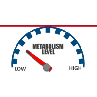 396: How To Reset Your Metabolism For Successful Fat Loss with Ted Ryce