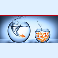 342: Your Comfort Zone Is Killing Your Success (And What You Can Do Right Now To Change It) with Sterling Hawkins