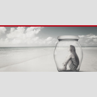 Ted Talk 16: Help! Im Trapped And Stuck In My Comfort Zone