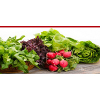 269: 14 Superfoods Healthier Than Kale (That You Should Start Eating Today)