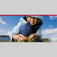 404: Asian Secrets To A Happy, Long  Healthy Life with Ror Alexander