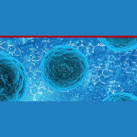 596: Ted’s Stem Cell Treatment Experience: 16-Week Follow Up