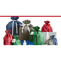 Ted Talk 12: Is This The Best Holiday Gift?