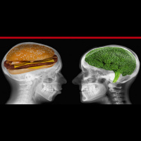 243: Wired To Eat: How To Turn Off Food Cravings And Rewire Your Appetite for Weight Loss with Robb Wolf