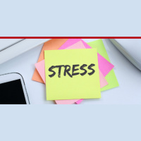 Ted Talk 18: The United State Of Stress