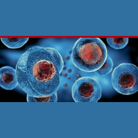 625: Ted’s Stem Cell Treatment Experience: 12 Month Follow Up