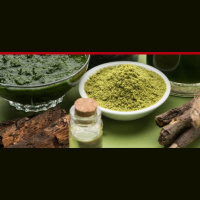 334: How Plant Medicine Can Change Your Life with Gerry Powell