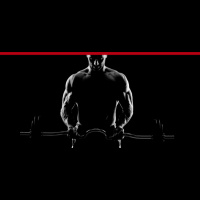 294: 7 Secrets for Better Results In The Gym (And What Mistakes To Avoid) with Borge Fagerli