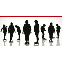 257: Why Youre Not Losing Fat Even Though You Eat Right  Workout Regularly with Ted Ryce