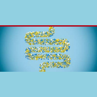 341:Healthy Gut, Healthy You with Dr. Michael Ruscio