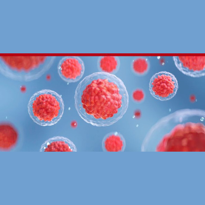 Legendary Life Podcast: Fitness I Healthi Nutrition I Healthy Lifestyle For People Over 30+, 40+