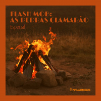Especial – Flash Mobi: As Pedras Clamarão