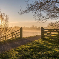 Podcast #65 Conscious Capitalism: A New Age Business Model