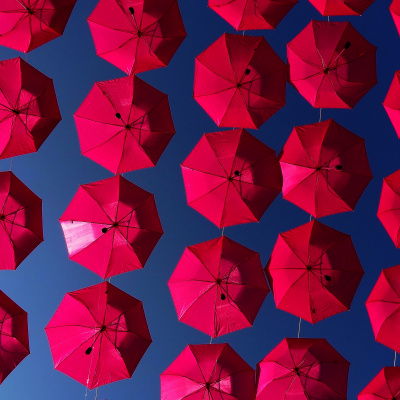 Why Are People Into That?!