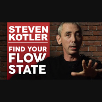 Steven Kotler - Find Your Flow State